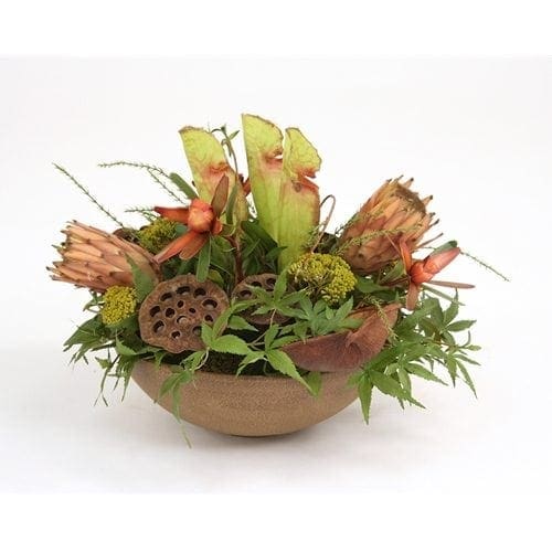 Dried Greenery - Cobra Lilies, Protea and Pods in a Mocha Earthenware Bowl